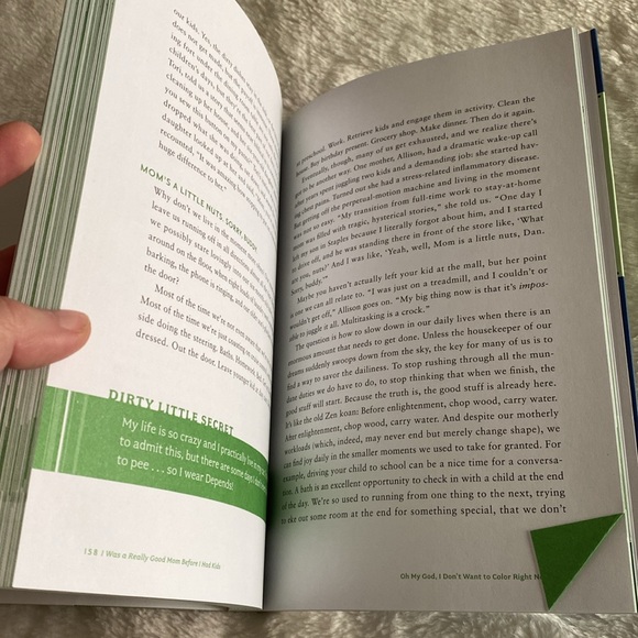 EUC "I was a Really Good Mom before I had Kids" Self-Help Book - Picture 9 of 13